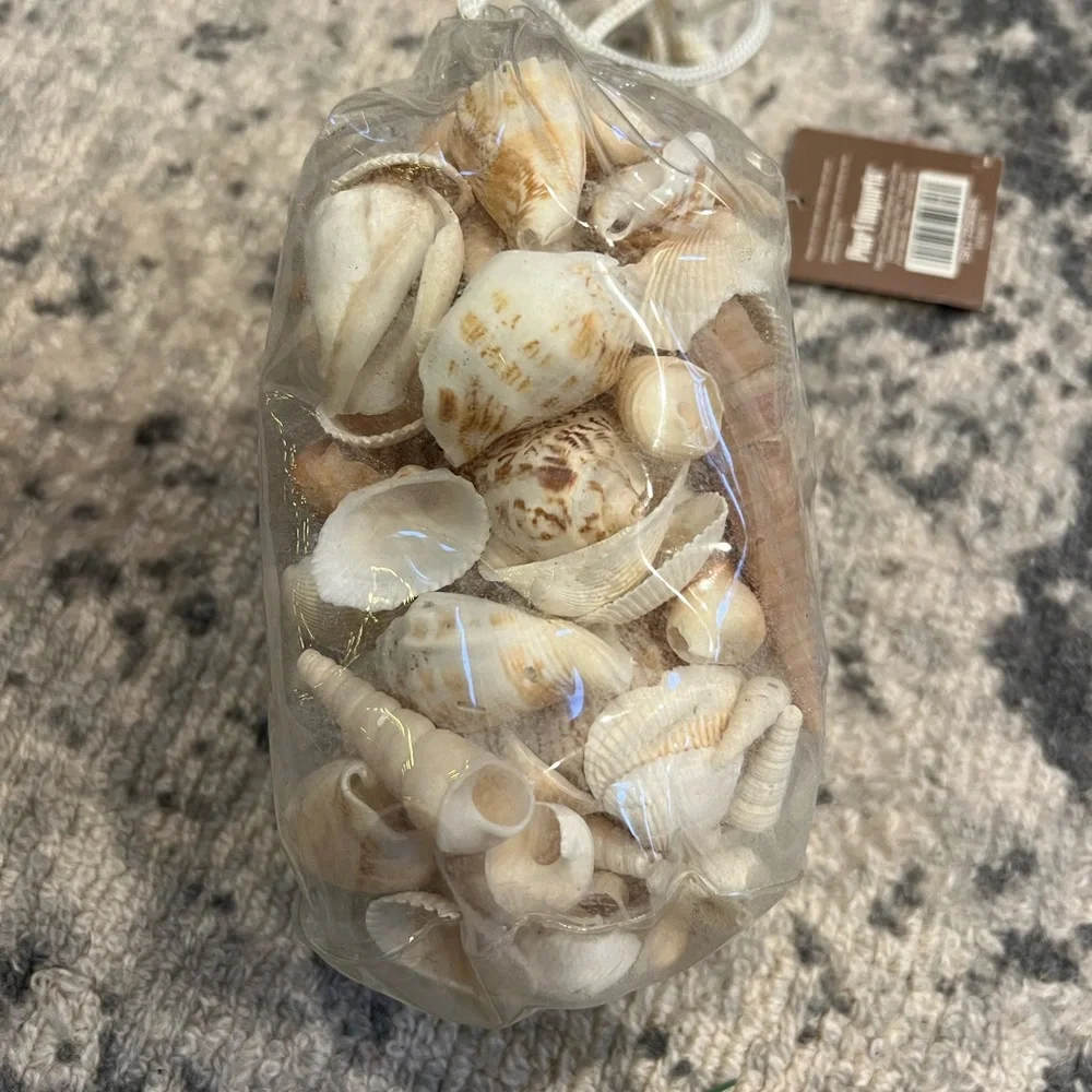 NWT PIER 1 Imports natural shell mix
